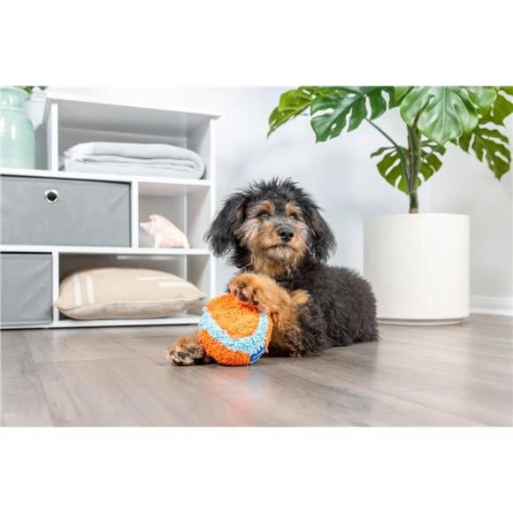 Indoor Fetch Ball Dog Toy (4.75 Inch), Orange and Blue - Picture 4 of 6